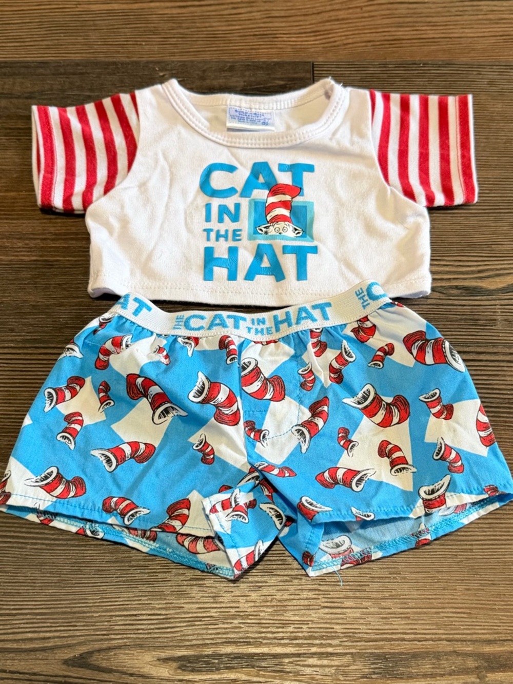 Build - A - Bear Cat in the Hat Outfit